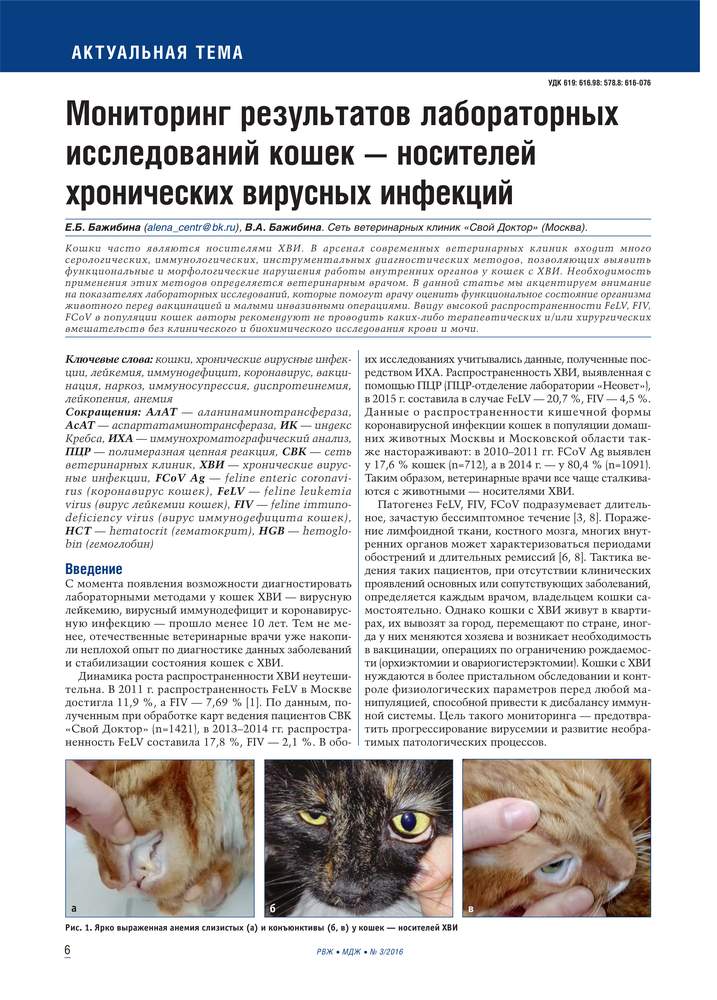 Мониторинг результатов лабораторных исследований кошек - носителей хронических вирусных инфекций